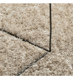 Tapis ISTAN à poils longs aspect brillant beige 100x200 cm