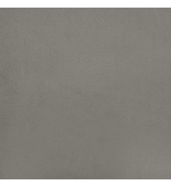 Cadre de lit Gris clair 200x200 cm Velours