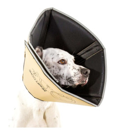 All Four Paws Collier animaux de compagnie Comfy Cone M 20 cm Brun