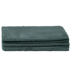 Tapis de tente 300x500 cm Vert