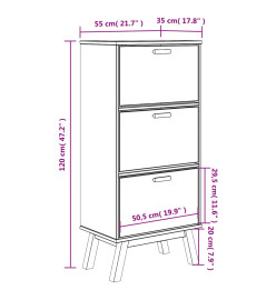 Armoire à chaussures OLDEN gris et marron bois massif de pin