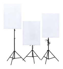 Kit de studio photo avec éclairage et boîtes à lumière