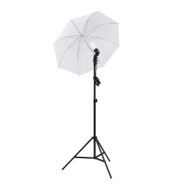 Kit de studio photo avec éclairage et boîtes à lumière