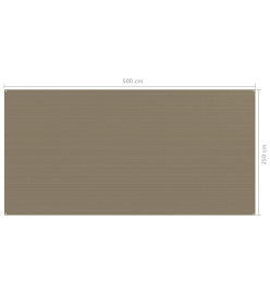 Tapis de tente 250x500 cm Taupe