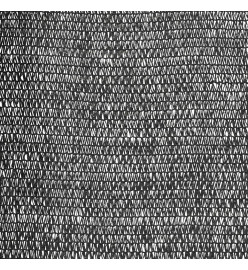 Filet brise-vue Noir 3,6x25 m PEHD 150 g/m²