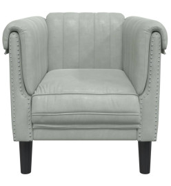 Fauteuil gris clair Velours