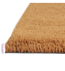 Tapis de porte naturel 80x100 cm fibre de coco touffeté