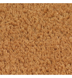 Tapis de porte naturel 100x200 cm fibre de coco touffeté