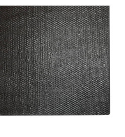 Tapis de porte 2 pcs noir 40x60 cm fibre de coco touffeté