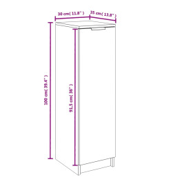 Armoire à chaussures noir 30x35x100 cm bois d'ingénierie