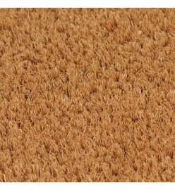 Tapis de porte 2 pcs naturel 40x60 cm fibre de coco touffeté