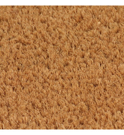 Tapis de porte naturel 50x80 cm fibre de coco touffeté