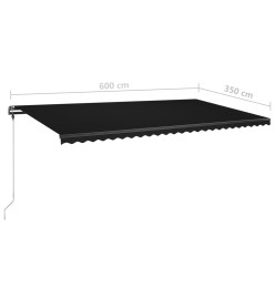 Auvent manuel rétractable sur pied 600x350 cm Anthracite