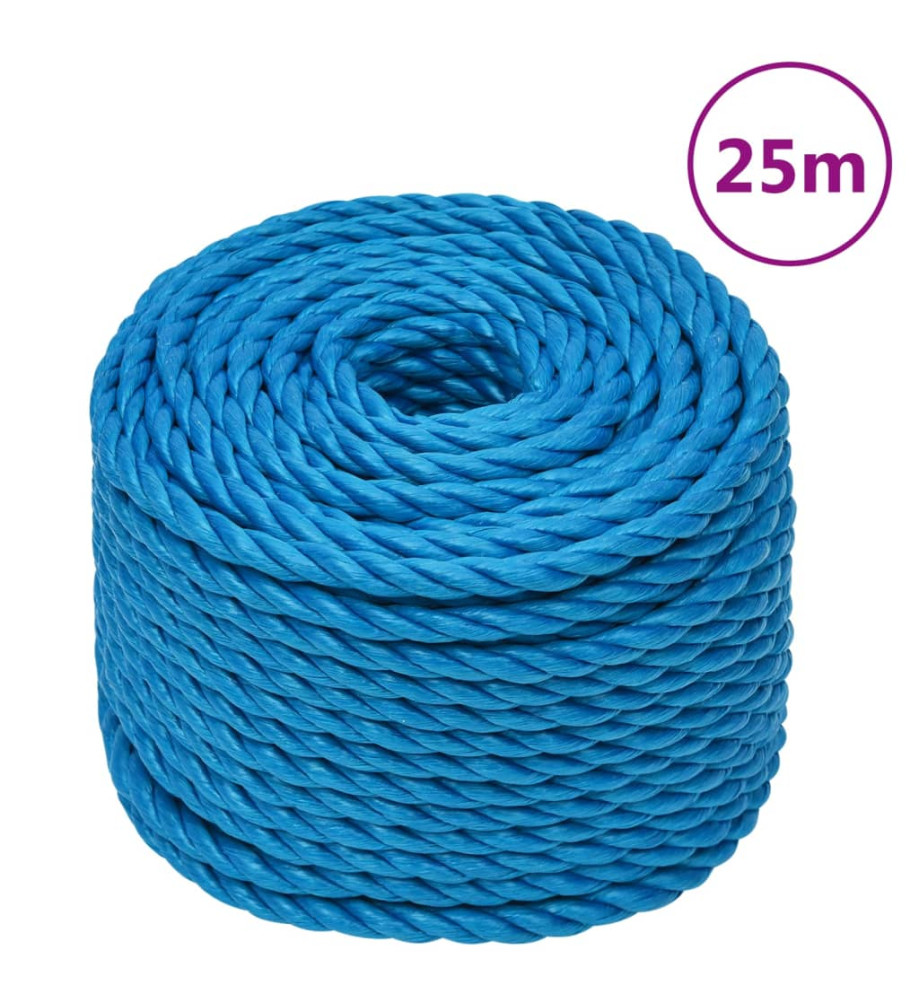 Corde de travail Bleu 14 mm 25 m Polypropylène