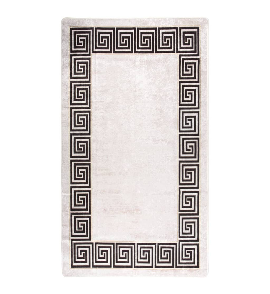 Tapis lavable antidérapant 190x300 cm Beige clair