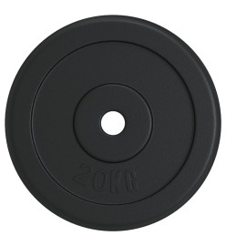 Plaque de poids 40 kg Fonte