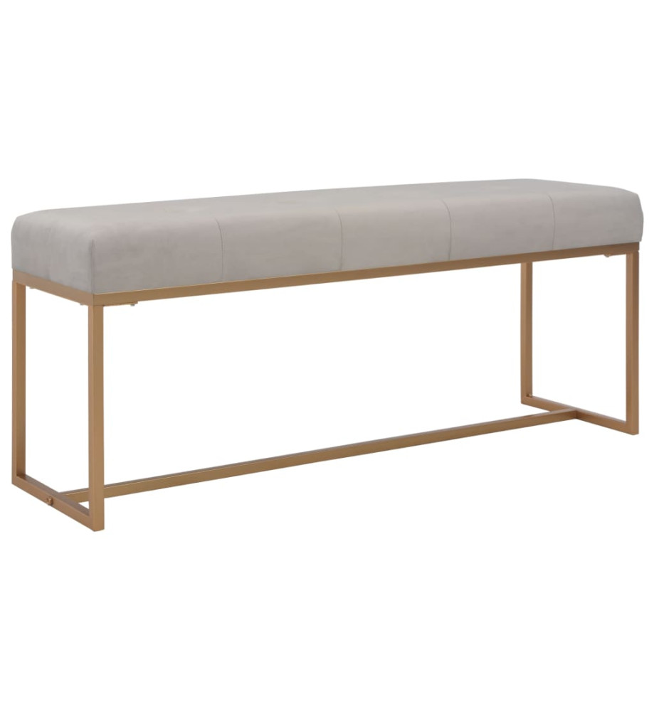 Banc 120 cm Gris Velours