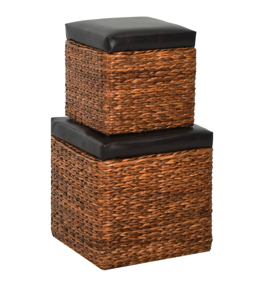 Repose-pieds 2 pcs Jacinthe d'eau Marron