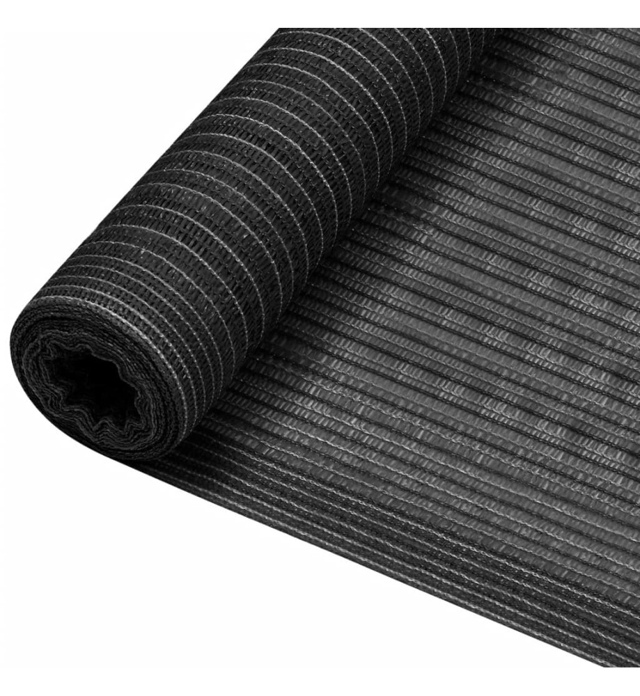 Filet brise-vue Anthracite 1x25 m PEHD 150 g/m²