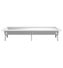 Plateau pour barbecue Argenté 158x42x31 cm Acier inoxydable