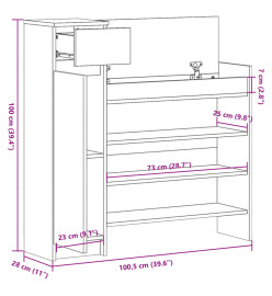 Armoire à chaussures noir 100,5x28x100 cm bois d'ingénierie