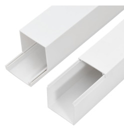 Goulotte de câble 100x60 mm 10 m PVC