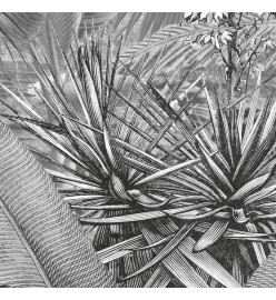 Komar Papier peint photo Amazonia Noir et blanc 400x250 cm