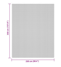 Tapis de sol de camping gris clair 3,5x2,5 m