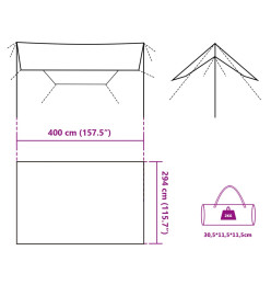 Bâche de camping vert 400x294 cm imperméable