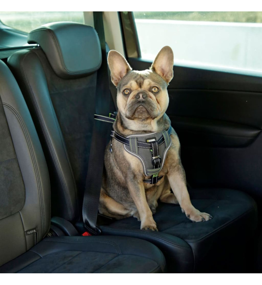 Kerbl Harnais de sécurité d’auto à animaux de compagnie 68-85 cm Noir