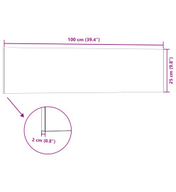 Panneaux muraux 3D 14 pcs anthracite 100x25 cm EPS