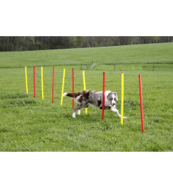 Kerbl Ensemble d'entraînement d'agilité pour chiens Rouge 80758