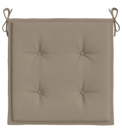 Coussins de chaise de jardin lot de 2 taupe 50x50x3 cm