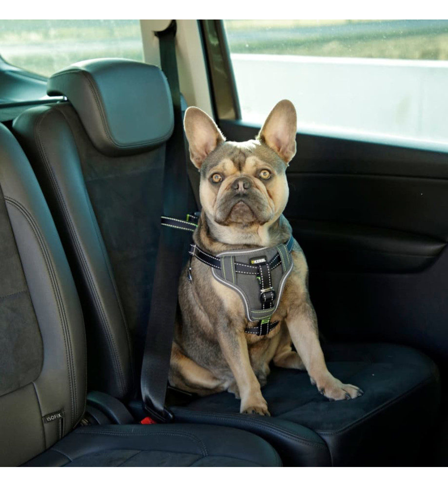 Kerbl Harnais de sécurité d’auto à animaux de compagnie 44-55 cm Noir