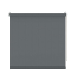 Decosol Store roulant mini Translucide Anthracite 57x160 cm