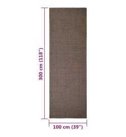 Tapis Sisal naturel 100x300 cm Marron