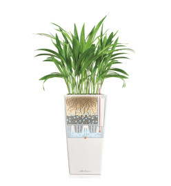 LECHUZA Jardinière Cubico 30 ALL-IN-ONE Blanc haute brillance 18181