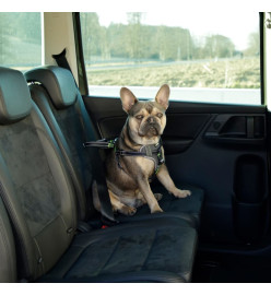 Kerbl Harnais de sécurité d’auto à animaux de compagnie 50-65 cm Noir