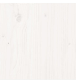 Lit superposé et échelle et toit blanc 90x200cm bois pin massif