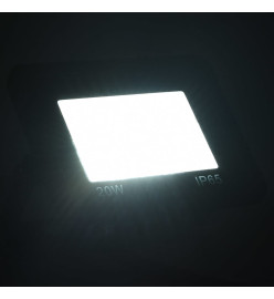 Projecteur à LED 20 W Blanc froid