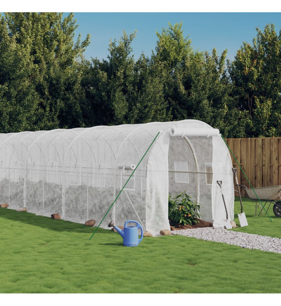 Serre avec cadre en acier blanc 44 m² 22x2x2 m