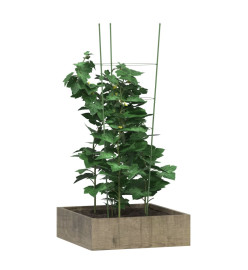 Supports pour plantes de jardin 4 anneaux 5pcs Vert 90 cm Acier