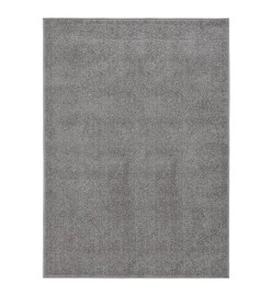 Tapis à poils courts 120x170 cm Gris