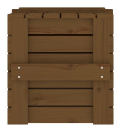 Boîte de rangement Marron miel 58x40,5x42 cm Bois massif pin