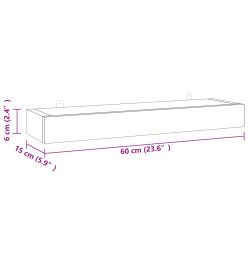 Étagères murales 2 pcs 60x15x6 cm bois de teck massif