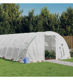 Serre avec cadre en acier blanc 80 m² 20x4x2 m