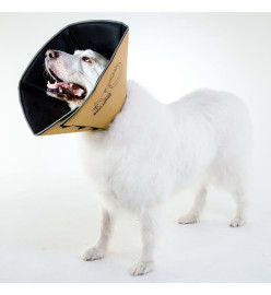 All Four Paws Collier animaux de compagnie Comfy Cone L 25 cm Brun