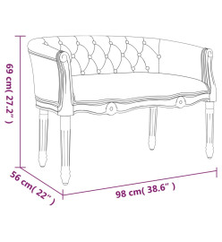 Banc Gris clair 98x56x69 cm Velours