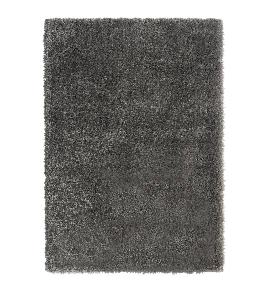 Tapis shaggy à poils hauts Anthracite 160x230 cm 50 mm