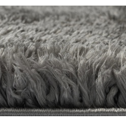 Tapis shaggy à poils hauts Anthracite 160x230 cm 50 mm